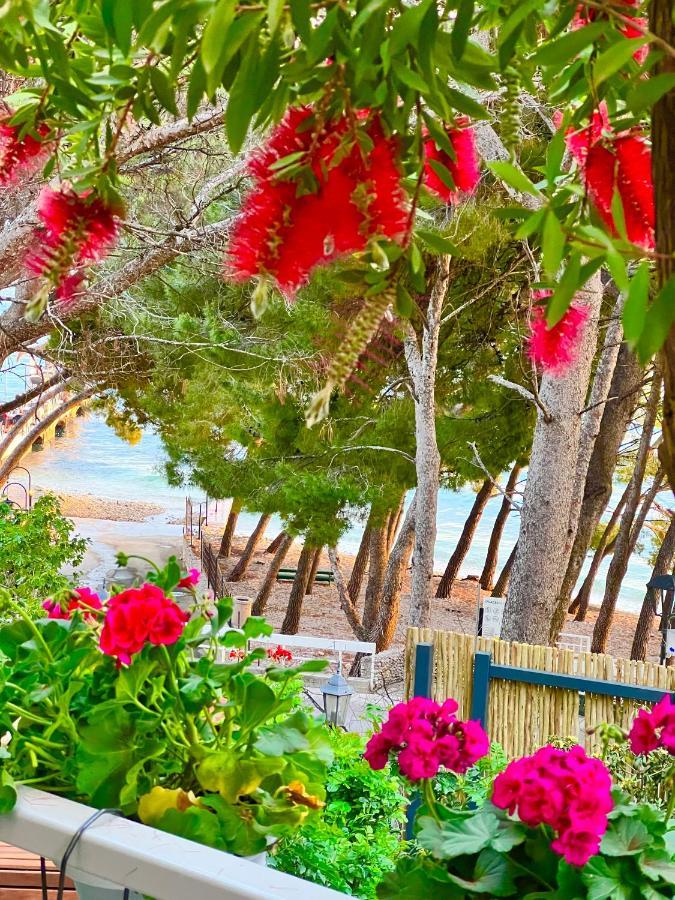 Apartmán Beachfront Romilda *